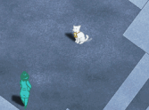 Time4Cat