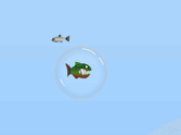 Tiny Piranha