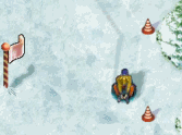 Xtreme Sleigh