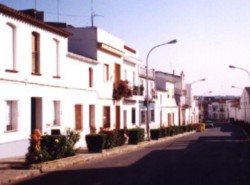 FOTOS GENTILEZA de mi amigo de NORLAN de Bonares (Huelva)