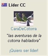 lider cotorra