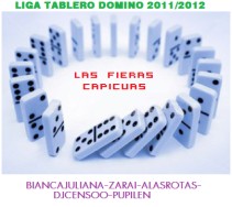liga domino