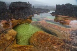 La gran sabana