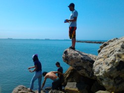 q tal
