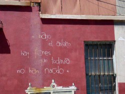 Acción Poética
