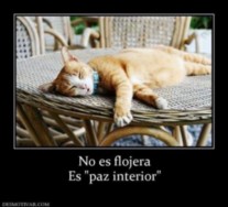 Imagenes