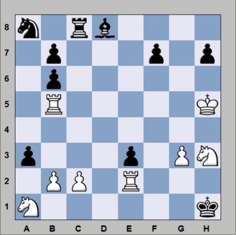 buho21 chess