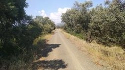 Etapa Cáparra/Aldeanueva del Camino.