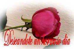 mis avatar